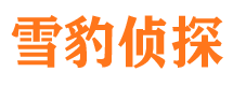 西岗市侦探